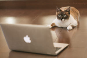 SBI証券の評価は？手数料が最安値なので口座開設だけでもするべき