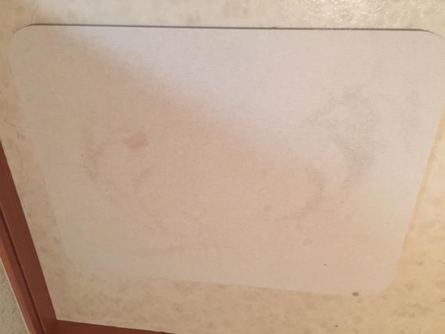 f:id:shobrisbane:20180705234817j:plain f:id:shobrisbane:20180705234817j:plain