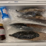 ふるさと納税で藁焼きかつおのたたきが狙い目な訳とは？